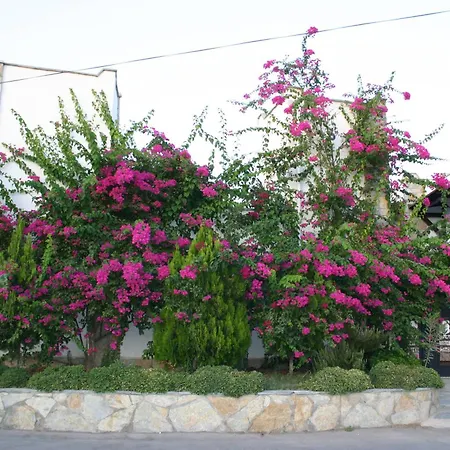 Cotton Boutique Hotel מלון גומבט