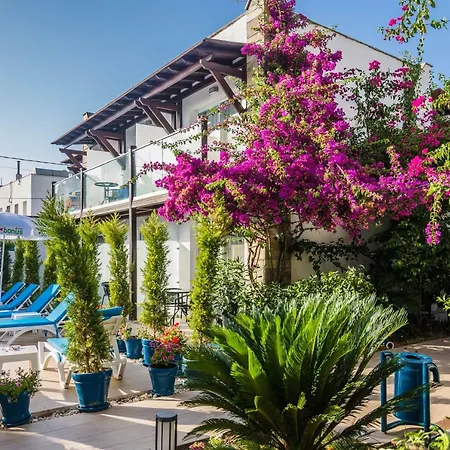 Cotton غومْبيت