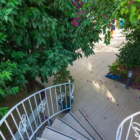 Cotton Boutique Hotel 3* גומבט