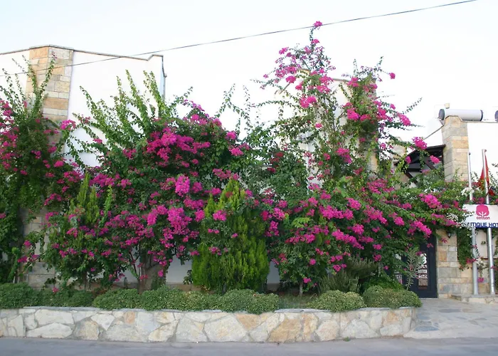 Cotton Hotel Gümbet