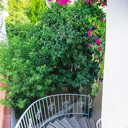 Hotel Cotton Boutique Hotel
