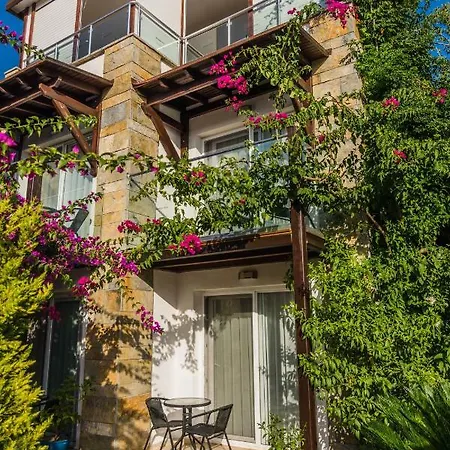Hotel Cotton Boutique Hotel 3*