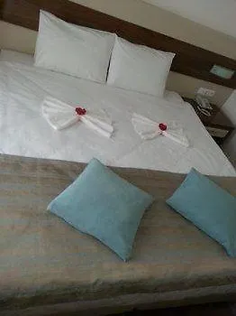 Cotton 3*