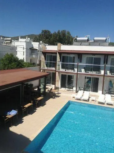 Cotton 3* גומבט